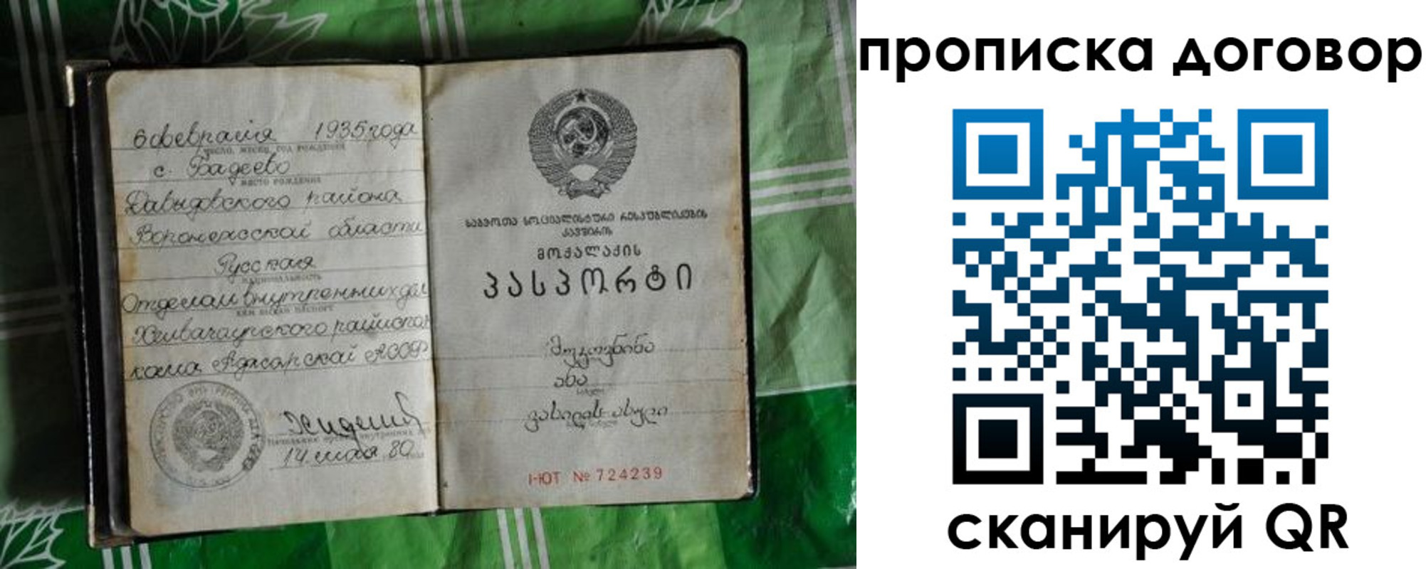 прописка в Павловске
