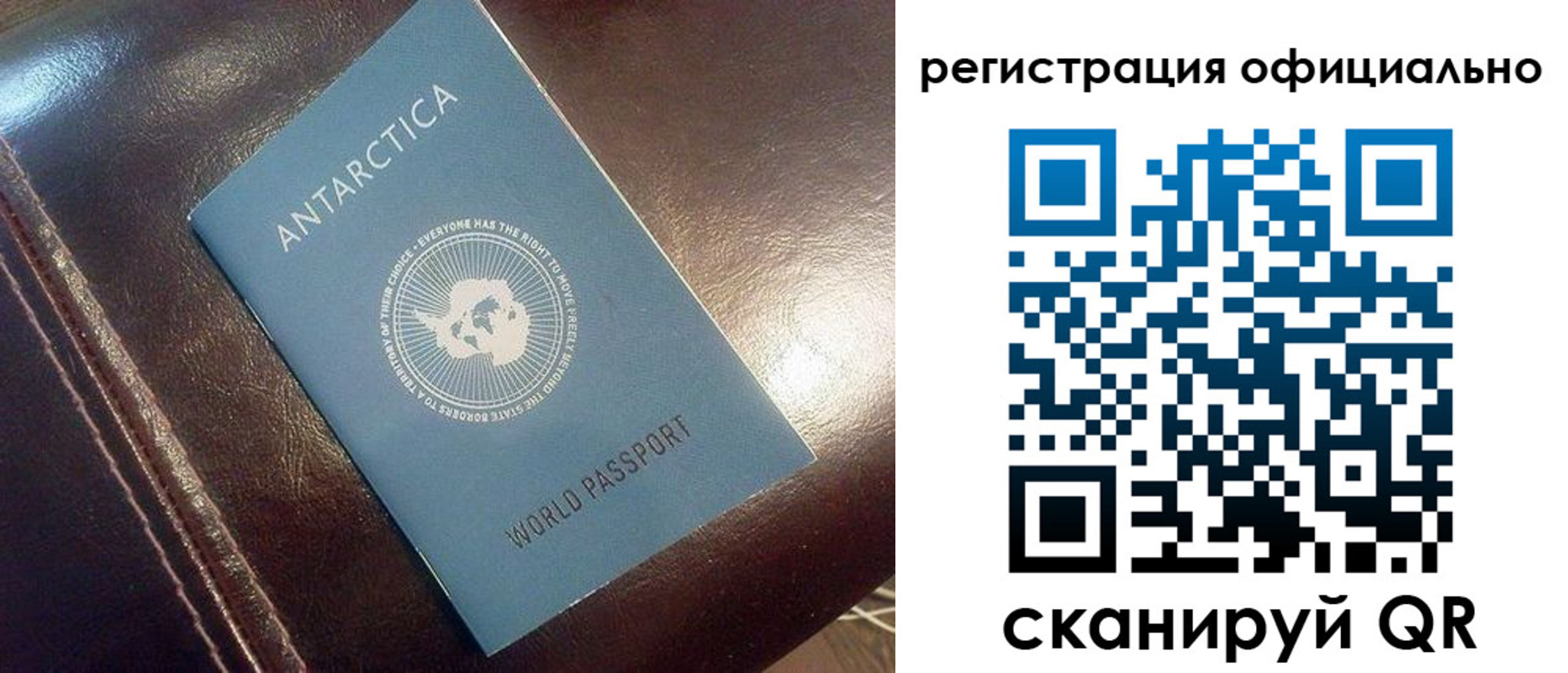 временная регистрация госуслуги в Павловске