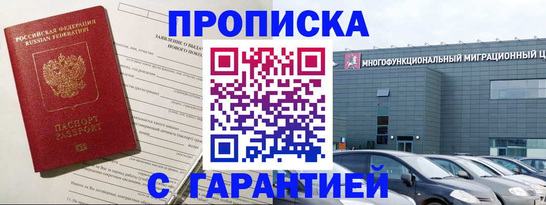 прописка поиск в Павловске